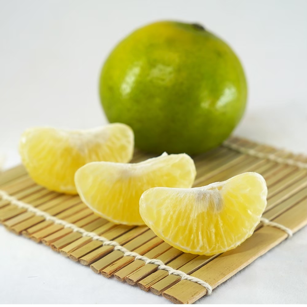 12月中出貨-在欉黃採收的帝王柑