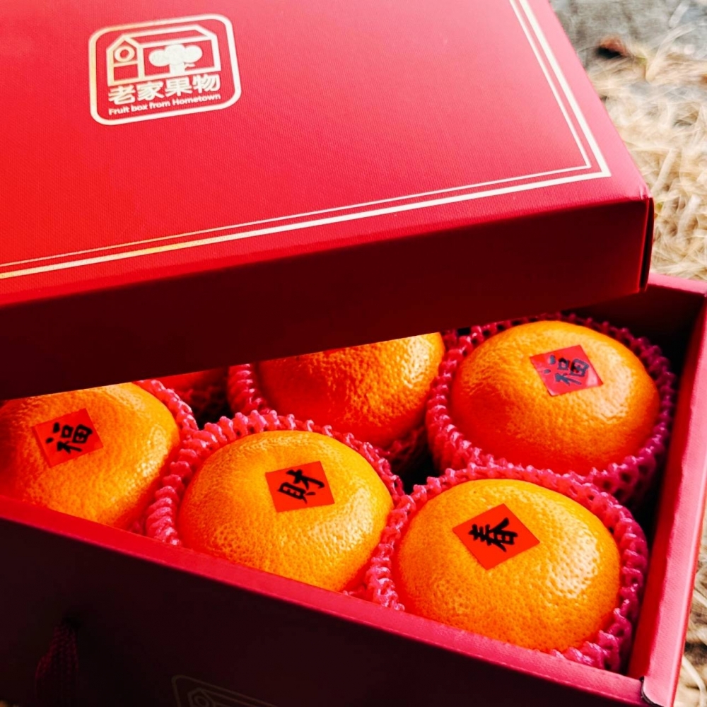 年節禮盒-特級茂谷柑